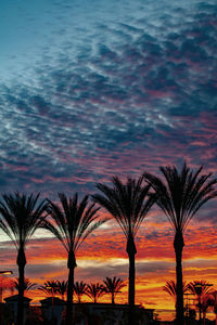 Silhouette palm trees against dramatic sky during sunset