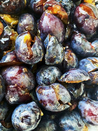 Full frame shot of blueberries