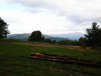 Scenic view of field against cloudy sky