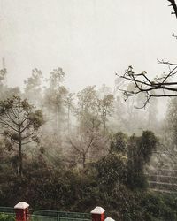 Scenic view of forest against sky