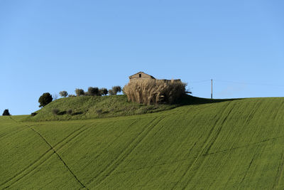 Scenic view of farm against clear sky