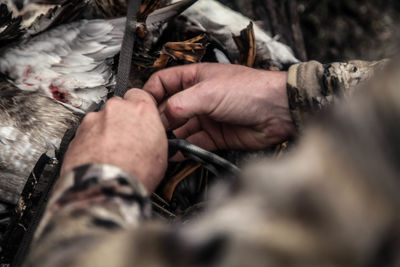 Cropped hand holding bird