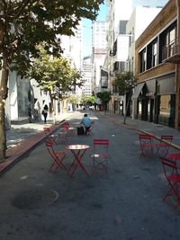 Empty road along trees in city