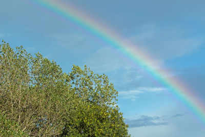 Low angle view of rainbow against sky