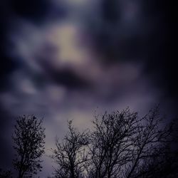 Low angle view of bare trees against cloudy sky