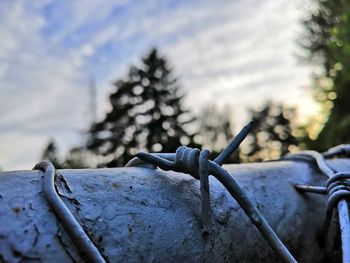 Close-up of snow on metal fence against sky