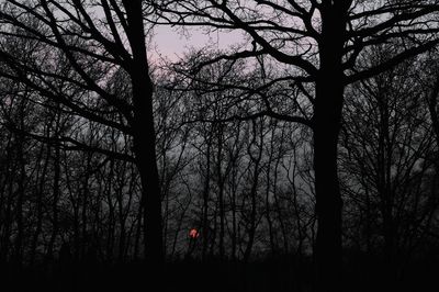 Silhouette bare trees in forest against sky