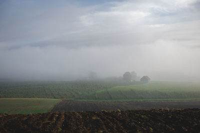 Autumn landscape with plowed countryside and houses in the fog
