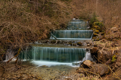 Scenic view of waterfall in forest