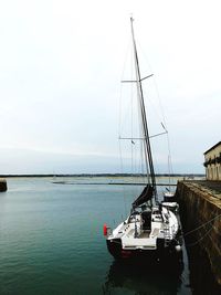 Sailboats sailing in sea against sky