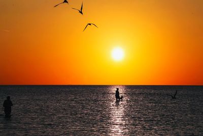 Silhouette birds flying over sea against orange sky