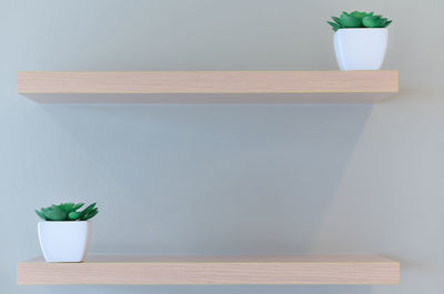 Potted plant on table at home