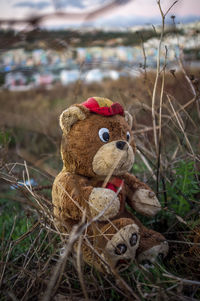 Close-up of stuffed toy