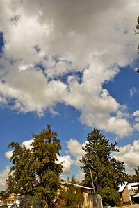Low angle view of trees and building against sky