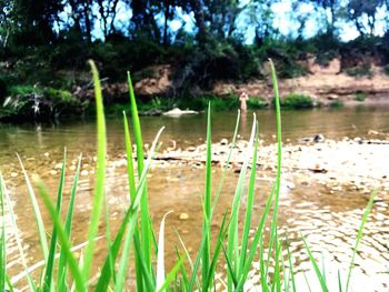 Scenic view of lake