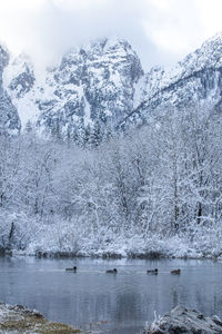 Scenic view of lake by snowcapped mountain