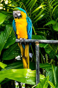 View of a bird perching on plant