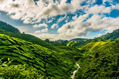 Panoramic view of landscape against sky