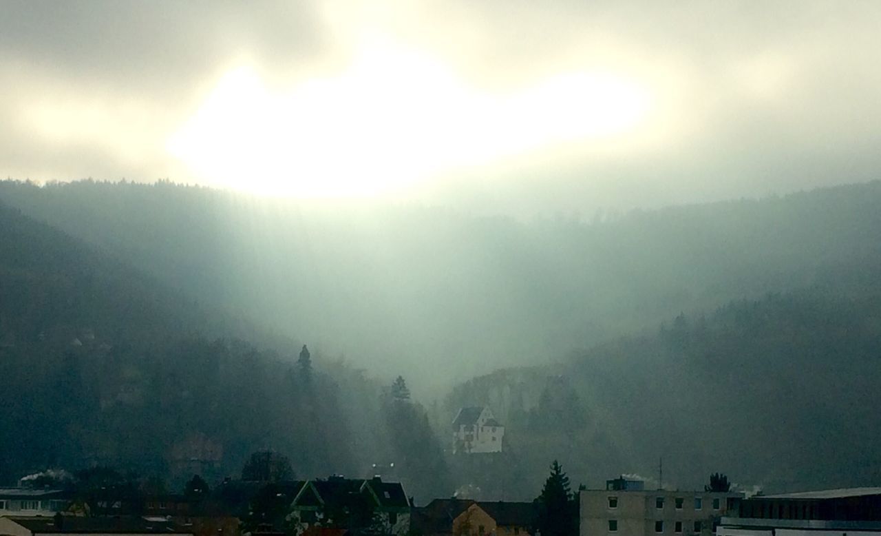 PANORAMIC VIEW OF TREES AND MOUNTAIN AGAINST SKY