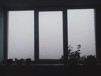 Silhouette trees against sky seen through window