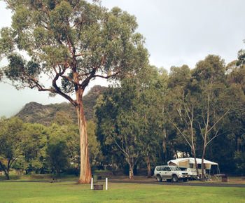 Trees on field against sky