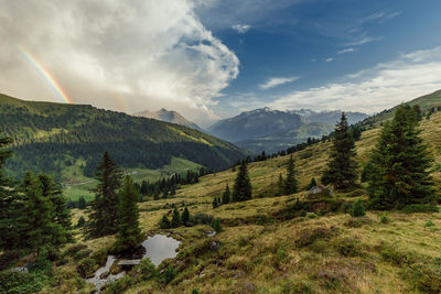 Scenic view of landscape against sky