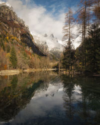 Scenic view of lake by trees against sky