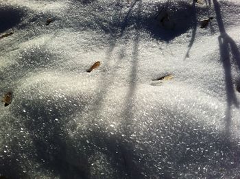 High angle view of snow on land