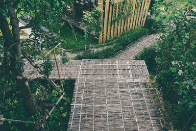 High angle view of steps amidst trees