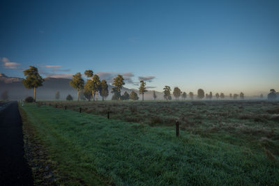 Trees on field against clear sky