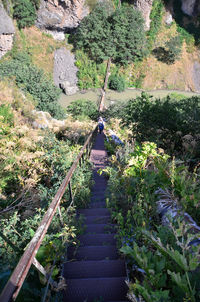 Rear view of woman on rock by plants