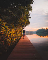 Rear view of man standing by trees against sky during sunset