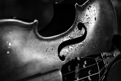 Close-up of wet violin against black background