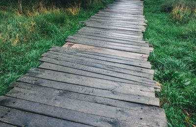 High angle view of boardwalk amidst plants on field