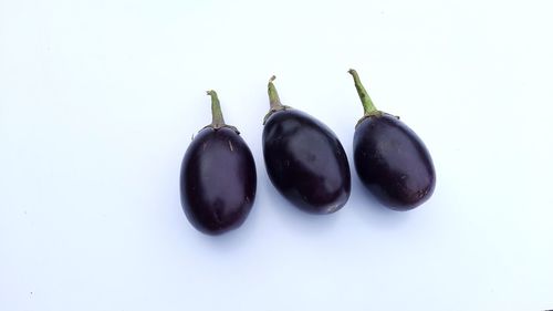 High angle view of fruit against white background