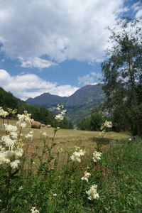 Scenic view of landscape and mountains against sky