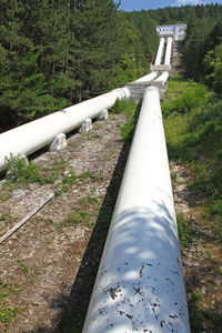 High angle view of pipe in forest