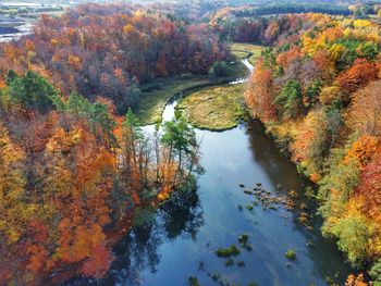 High angle view of river amidst trees during autumn