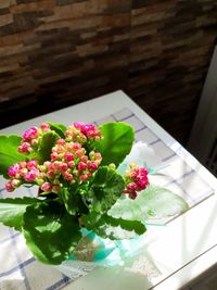 High angle view of flowering plant on table