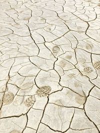 High angle view of footprints on cracked field