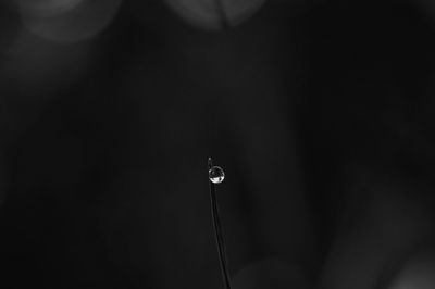 Close-up of water drop on leaf