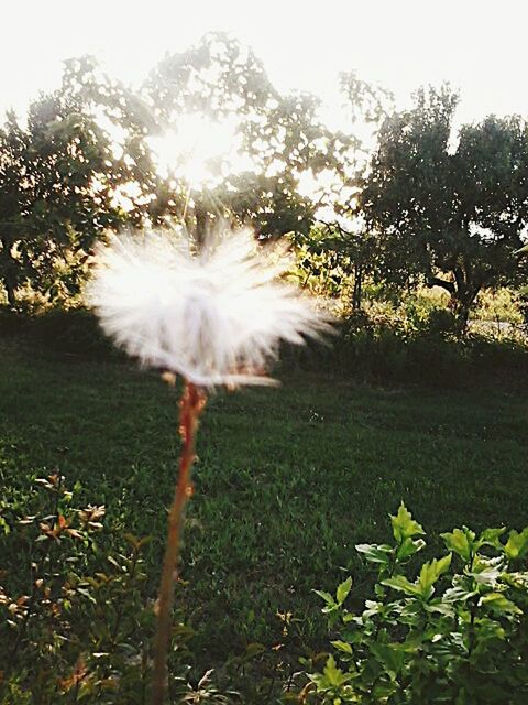 Naturelovers♥