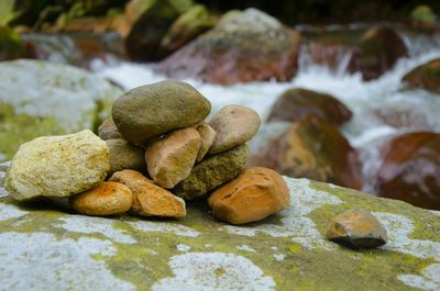 Close-up of stones on rocks