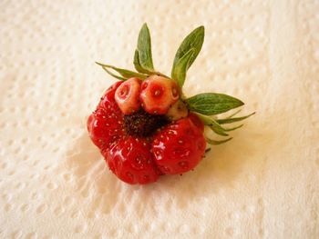 High angle view of strawberry on table