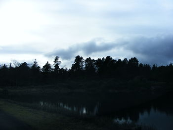 Silhouette trees in forest against sky