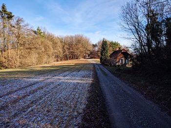 Road amidst trees against sky