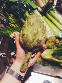 Close-up of hand holding fruit