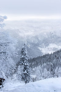Scenic view of snow covered landscape against sky