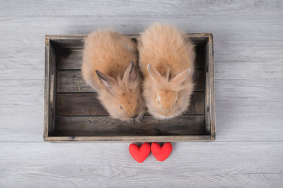 High angle view of heart shape made from wood