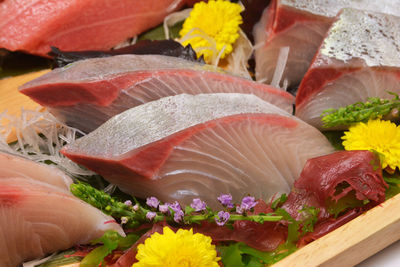 Close-up of fish in aquarium